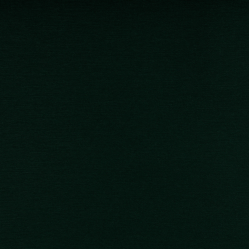 TSSI-5063 forest